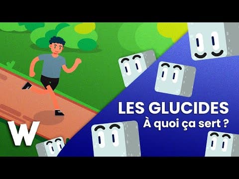 DECATHLON Les glucides à quoi ça sert?